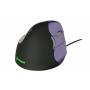 Bakker Elkuizen - BakkerElkhuizen Maus Evoluent 4 VerticalMouse klein r USB retail [DE-Version, German Keyboard]