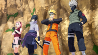 Picchiaduro 3