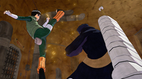 Picchiaduro 8