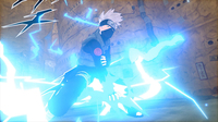 Picchiaduro 9