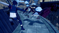 Picchiaduro 11
