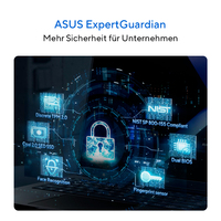 Asus 6